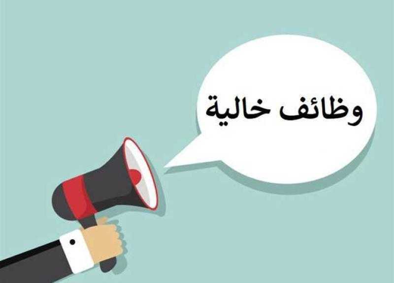 وزارة العمل تعلن عن فرص عمل جديدة في القطاع الخاص 