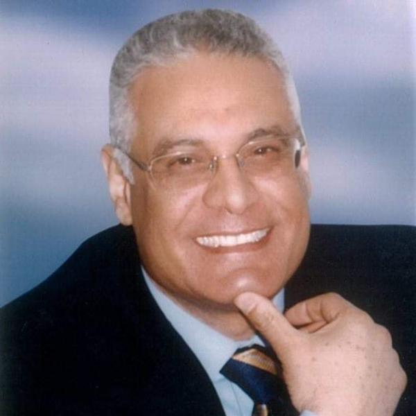 محمد حسن الألفى