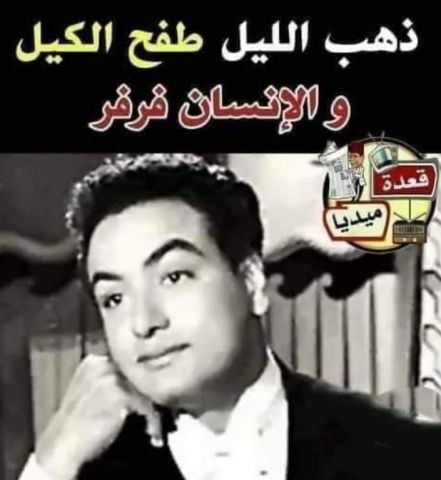 أنا حوا