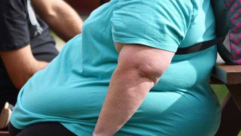 المصرية للتغذية تفجر مفاجأة: 85.5% من السيدات فى مصر يعانين من زيادة الوزن