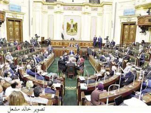 في حالة الخلاف بين المستهلك والمورد.. تعرف على الإجابة في قانون حماية المستهلك