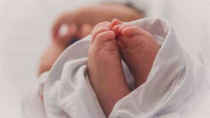 طفولة مهدرة.. العثور على طفلة حديث الولادة داخل حظيرة مواشى بالشرقية