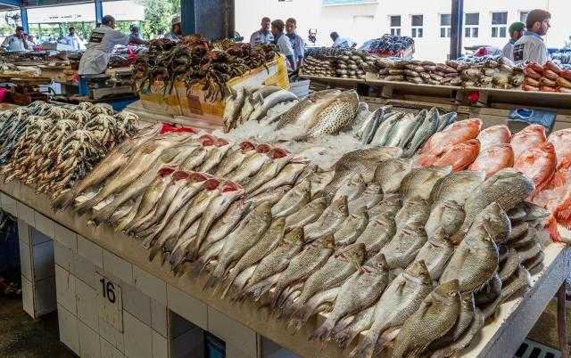 أسعار الأسماك اليوم السبت 22 يناير 2022