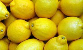 شعبة الخضروات تكشف أسباب ارتفاع الليمون بالأسواق