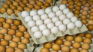 ارتفاع جديد في أسعار البيض الأيام القادمة.. لهذا السبب