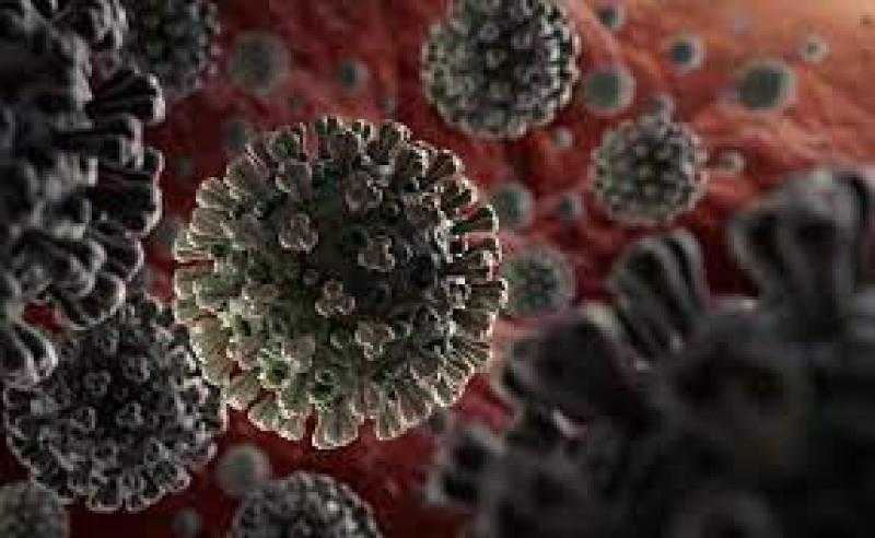 خوستا-2 فيروس جديد شبيه لـ كورونا يجتاح العالم