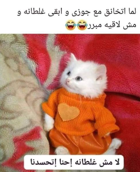 كوميكس لما اتخانق مع جوزي