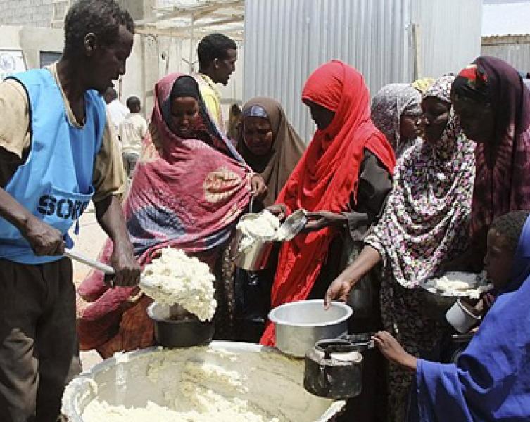 الأغذية والزراعة للأمم المتحدة