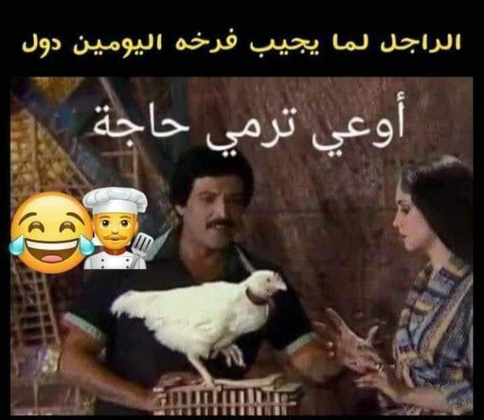 ”كوميكس“.. الراجل لما يجيب فرخة اليومين دول.. أوعى ترمى حاجة
