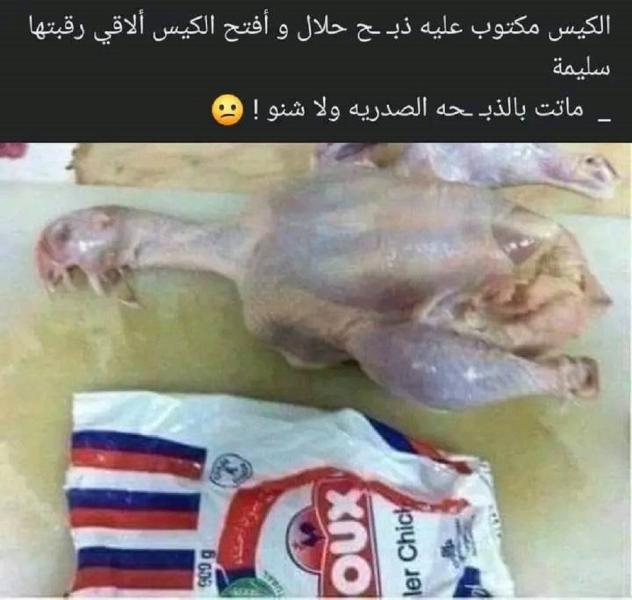 الدواجن