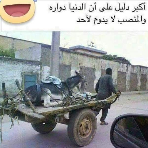 كوميكس.. أكبر دليل على إن الدنيا دوارة والمنصب لا يدوم