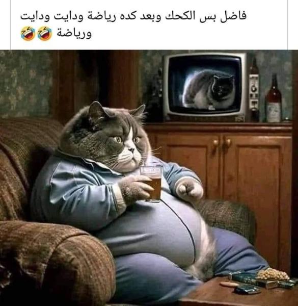 ”كوميكس“.. فاضل بس الكحك وبعد كده رياضة ودايت ودايت ورياضة
