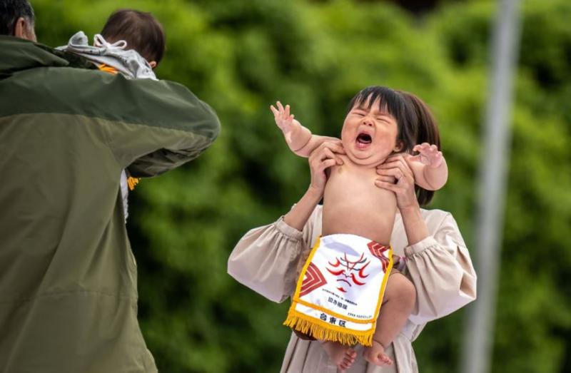 مهرجان سومو بكاء الأطفال