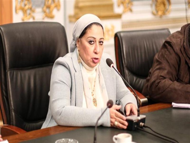 الدكتورة ليلى أبو إسماعيل عضو مجلس النواب