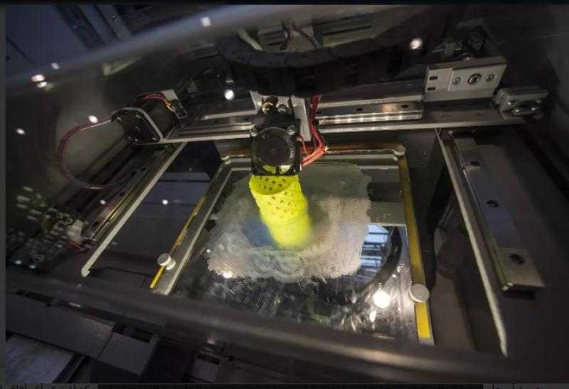 تقنية جديدة تستخدم خلايا نباتية متعددة القدرات لإنتاج منتجات غذائية مخصصة بالطباعة ثلاثية الأبعاد