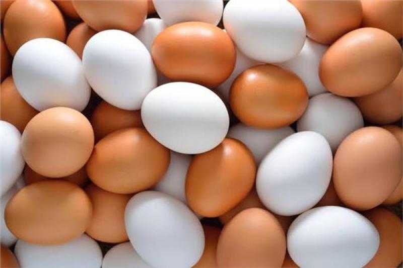 أسعار البيض داخل الأسواق اليوم الخميس 8 يونيو 2023