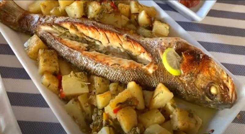 قصة الفاتورة المثيرة للجدل في الإسكندرية.. أكلة سمك بـ 6 آلاف جنيه