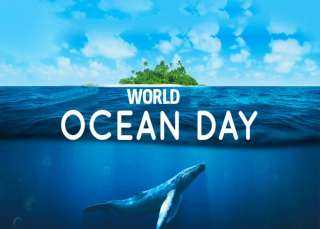 في يومه العالمي.. لماذا يعد المحيط جزءًا مهما من النظام الحيوي للكوكب؟