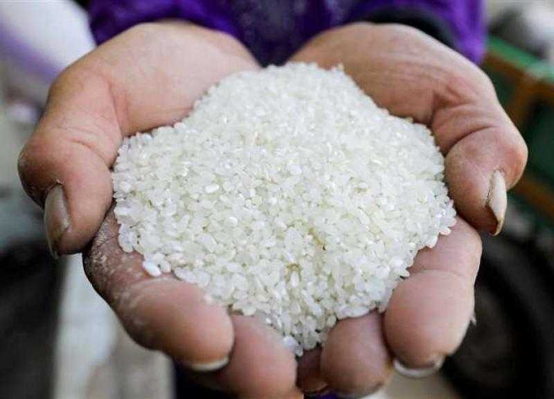 رزق الغلابة.. انخفاض أسعار الأرز الحر بالمجمعات الاستهلاكية إلى 22 جنيهًا