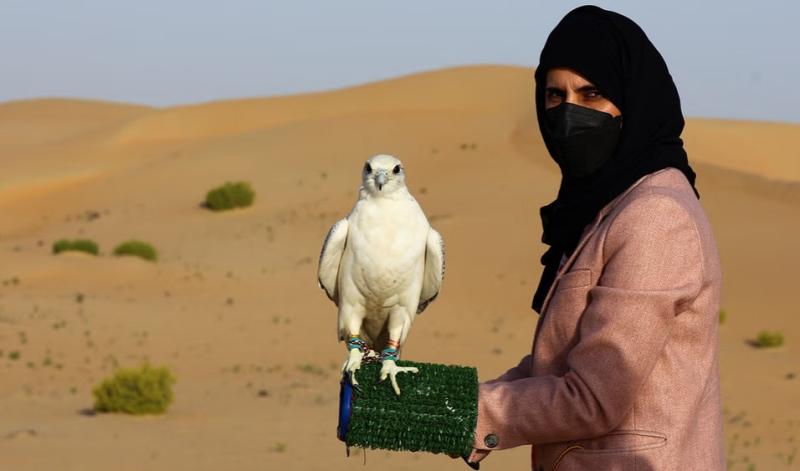 عائشة المنصوري