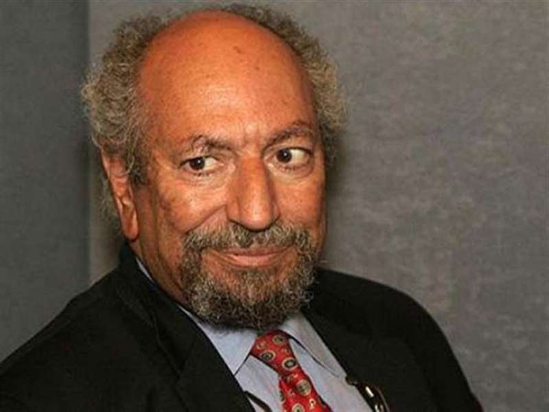 الدكتور سعد الدين إبراهيم