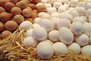 أسعار البيض اليوم الخميس 5 أكتوبر 2023