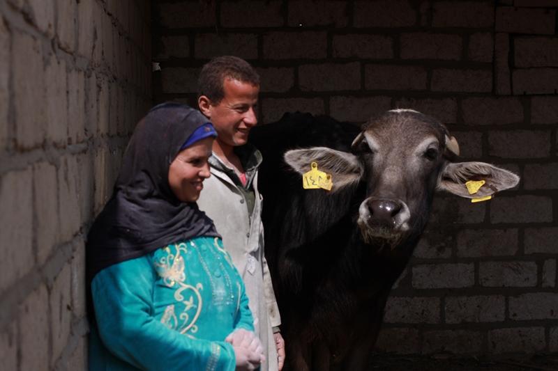 الأسر الأولى بالرعاية