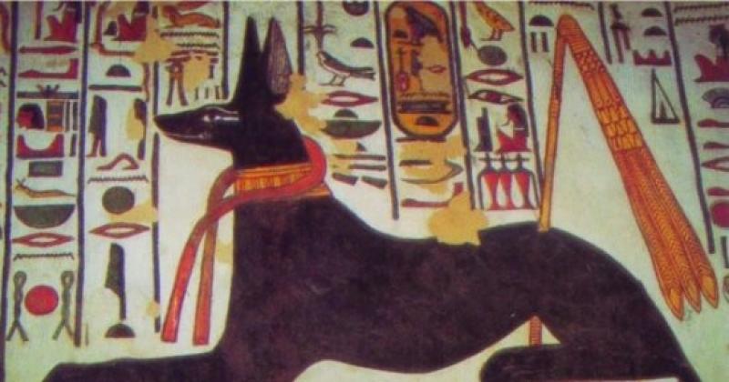 تصوير المصري القديم للكلاب في لوحاته