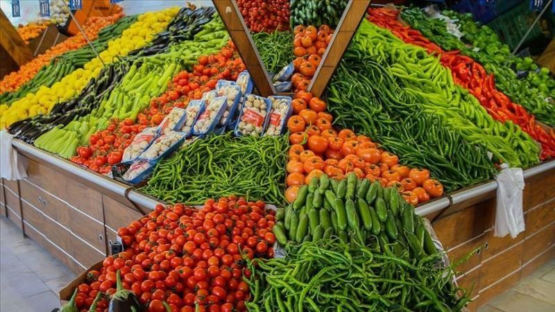 أسعار الخضروات اليوم الأربعاء 14 فبراير 2024