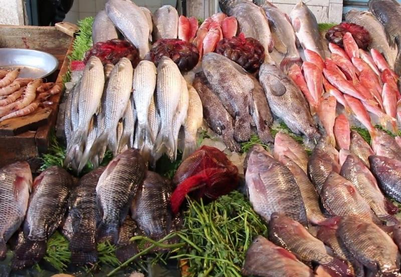 أسعار الأسماك اليوم الجمعة 23 فبراير 2024 في سوق العبور