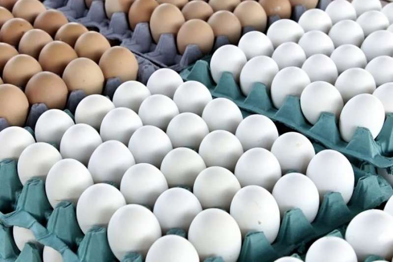 وزارة الزراعة تطرح بيض المائدة للبيع بسعر 140 جنيهًا للكرتونة
