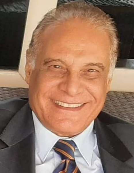 محمد حسن الألفي