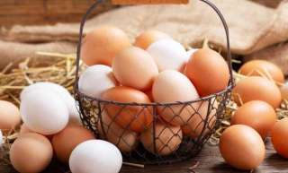أسعار البيض اليوم الخميس 25 أبريل 2024