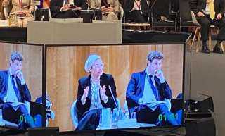 وزيرة البيئة من ألمانيا: الدول النامية تواجه تحديات تمويل مشروعات التكيف