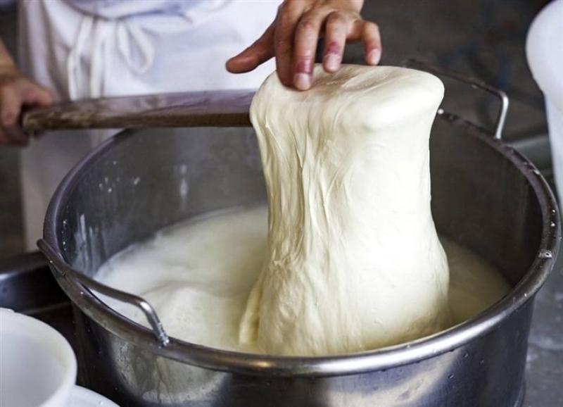 الجبنة الموتزريلا