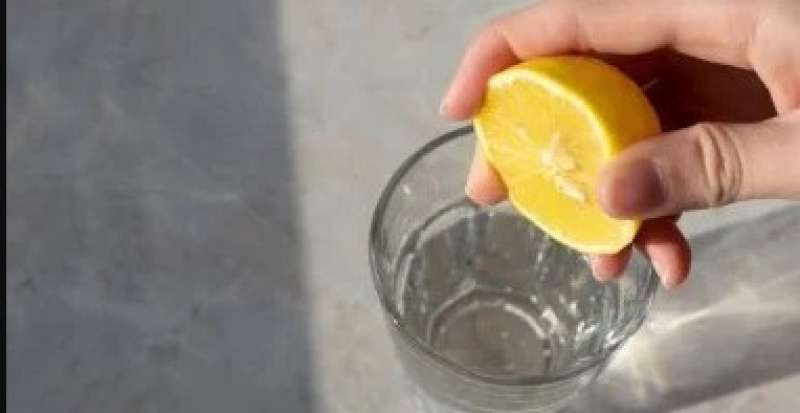 الليمون