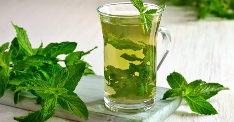 تفسير حلم رؤية النعناع في المنام.
