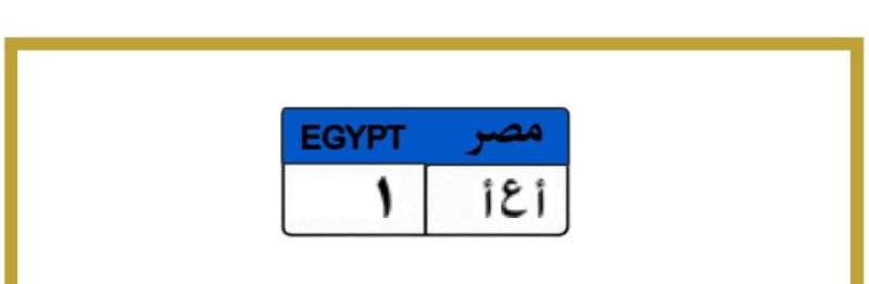 سعر لوحة سيارة ”أ ع أ - 1“ المميزة يتخطى 10 ملايين جنيه