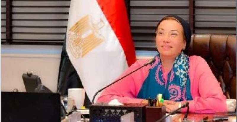 الدكتورة ياسمين فؤاد