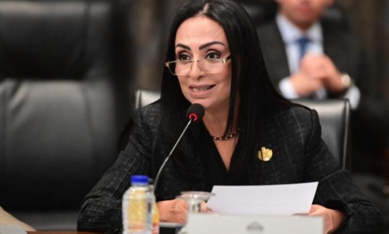 وزيرة التضامن الاجتماعي