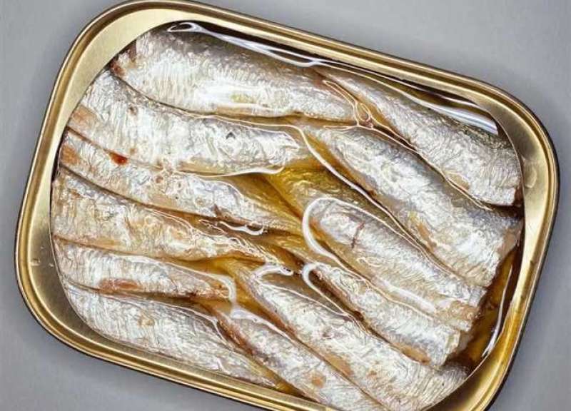 التونة البيضاء