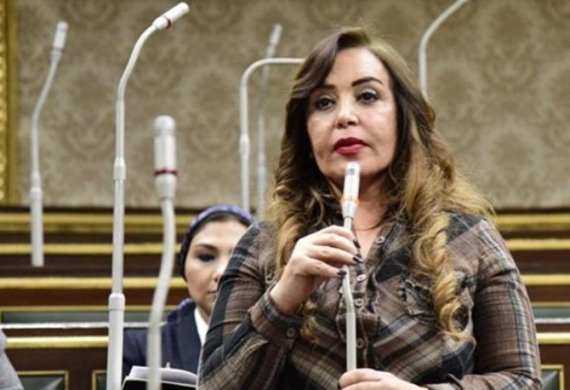 النائبة جيهان البيومى
