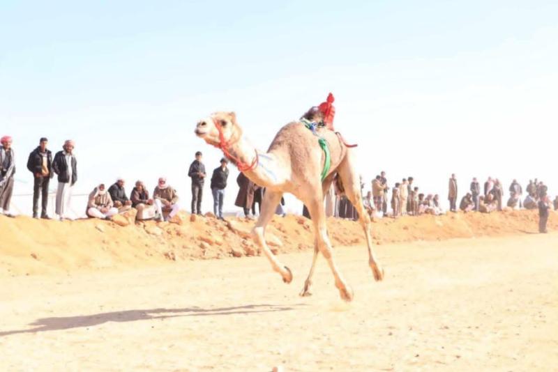 المهرجان