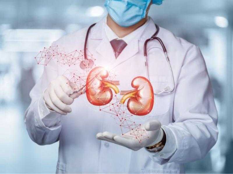 6 علامات تحذيرية قد تكشف عن مرض الكلى، لا تتجاهلها