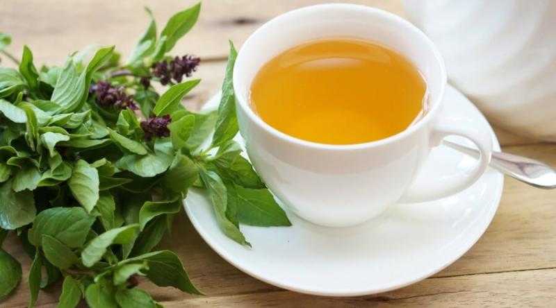 مزيج الريحان والعسل والفلفل الأسود.. وصفة طبيعية فعالة لمكافحة البرد والسعال