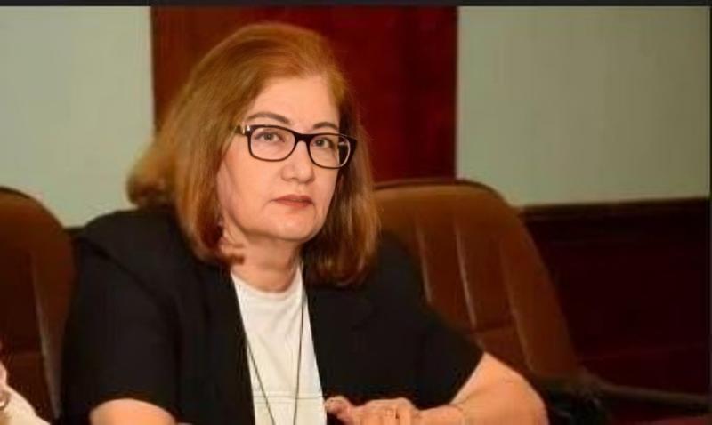 المجلس الأعلى للإعلام يعيد تشكيل لجنة الدراما برئاسة ماجدة موريس