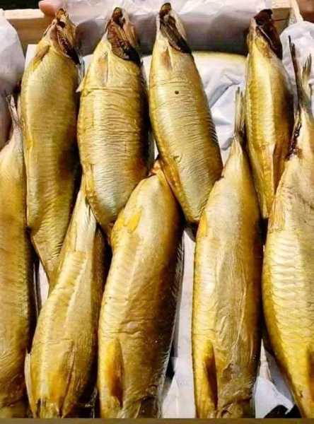 4 طرق مبتكرة لتحضير سلطة الرنجة باحترافية في العيد