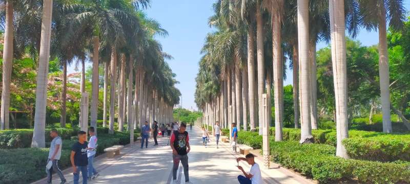 حديقة الأزهر
