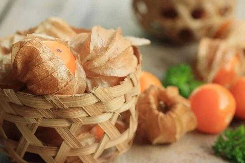 فوائد مذهلة للحرنكش.. فاكهة صغيرة بحجم كبير من المنافع