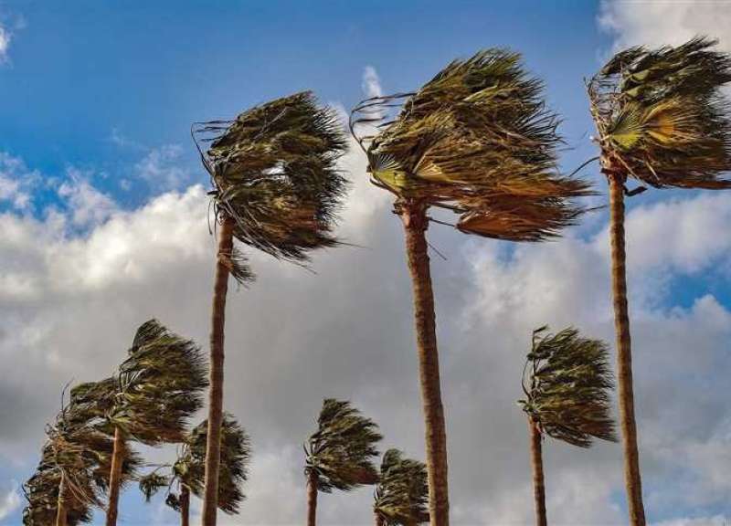 غدًا، رياح وأمطار خفيفة تُزين أجواء الربيع المتقلبة